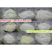 Anabolic Raw Steroid Hormone Powder Testosterone Enanthate